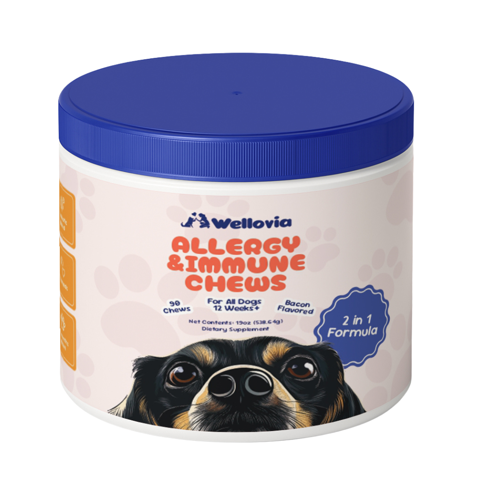 Allergy & Immune Chews | Soothe Itching and Strengthen your Dog’s Immune System from the Inside Out!