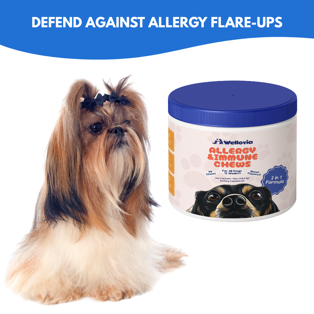 Allergy & Immune Chews | Soothe Itching and Strengthen your Dog’s Immune System from the Inside Out!
