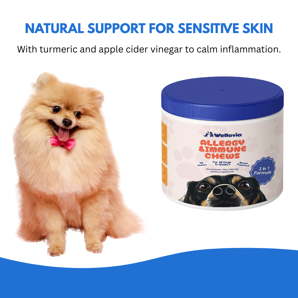Allergy & Immune Chews | Soothe Itching and Strengthen your Dog’s Immune System from the Inside Out!