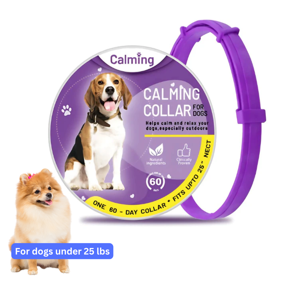CollarZen® | The Natural Calming Solution for Your Furry Friend!