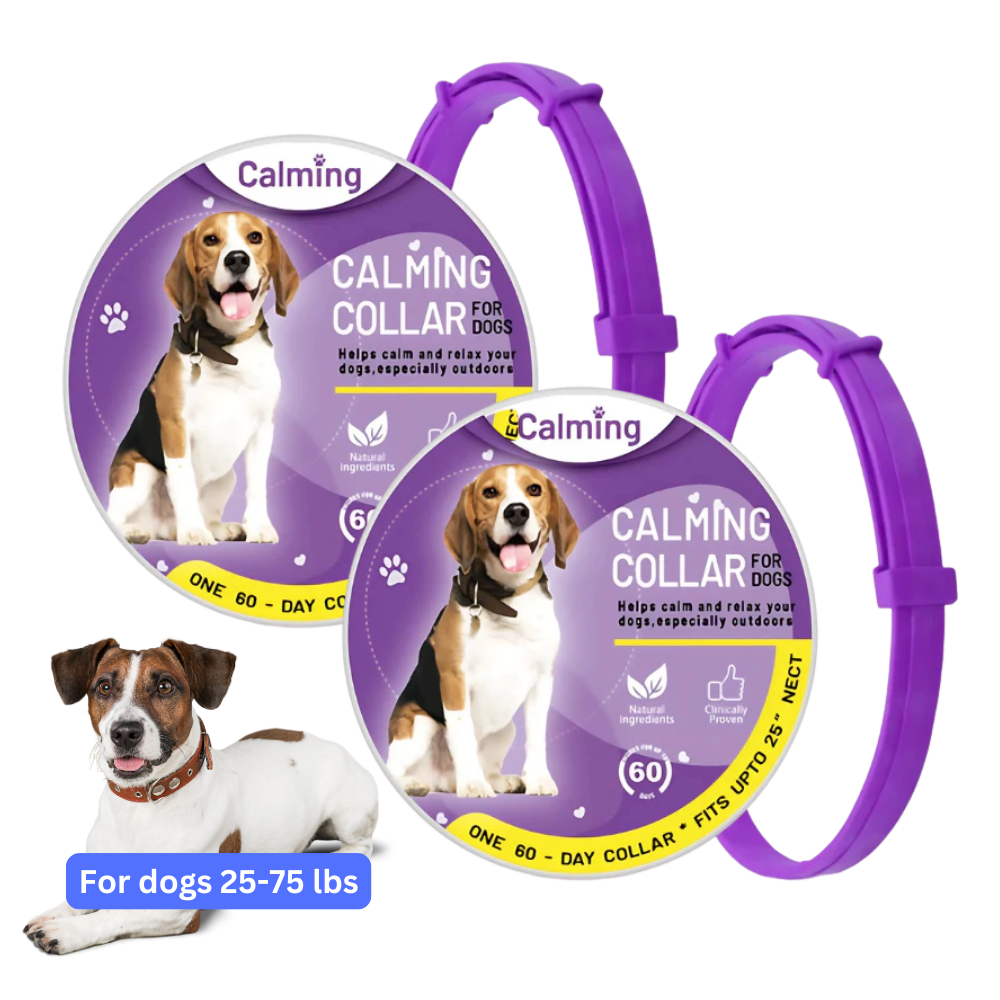 CollarZen® | The Natural Calming Solution for Your Furry Friend!