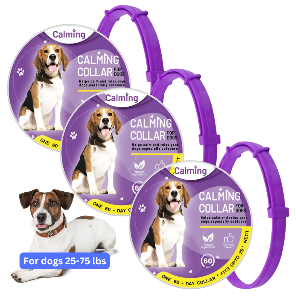 CollarZen® | The Natural Calming Solution for Your Furry Friend!