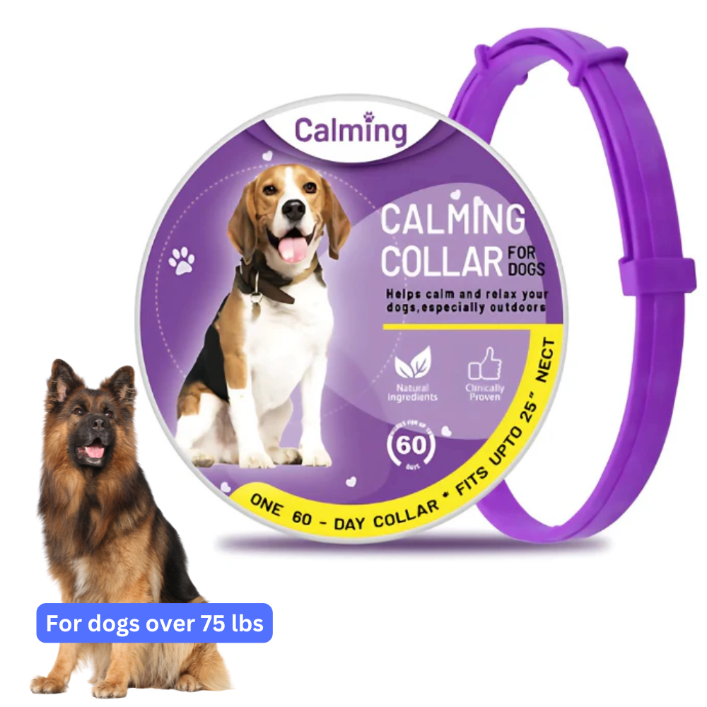 CollarZen® | The Natural Calming Solution for Your Furry Friend!