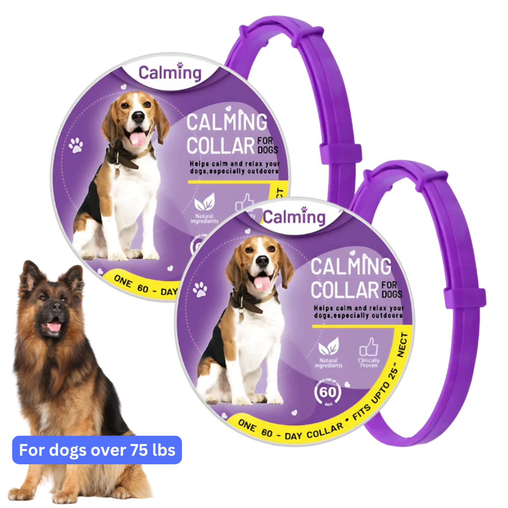 CollarZen® | The Natural Calming Solution for Your Furry Friend!