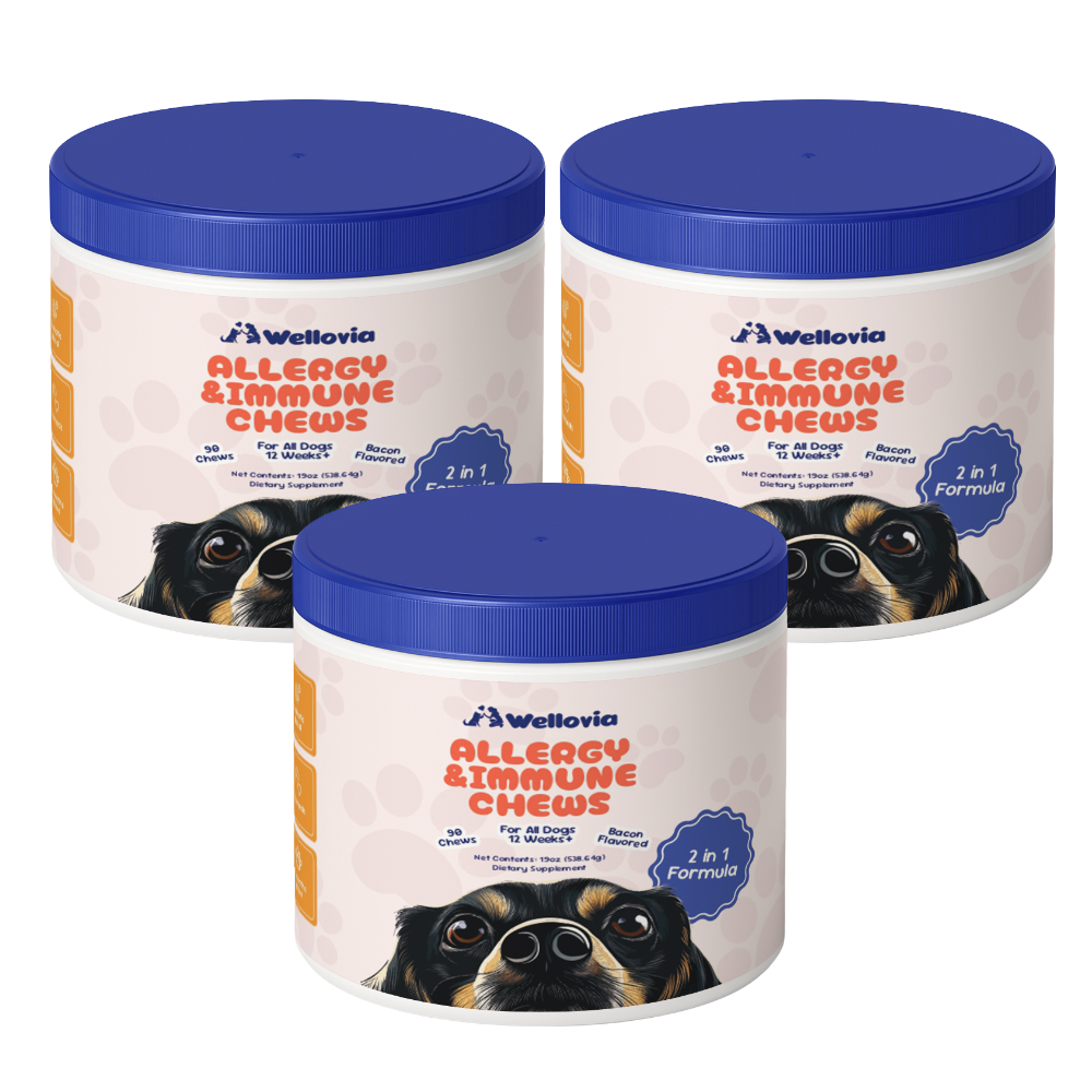 Allergy & Immune Chews | Soothe Itching and Strengthen your Dog’s Immune System from the Inside Out!