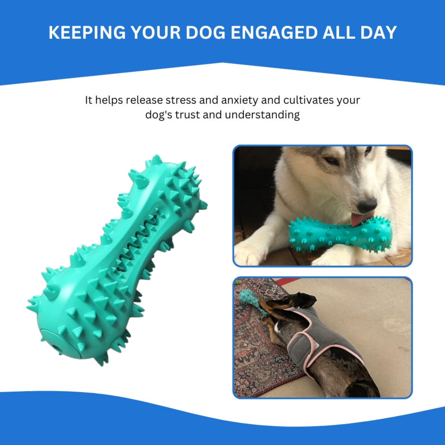 DentaChew® | Cleans Teeth, Freshens Breath, and Keeps Your Dog Happy.