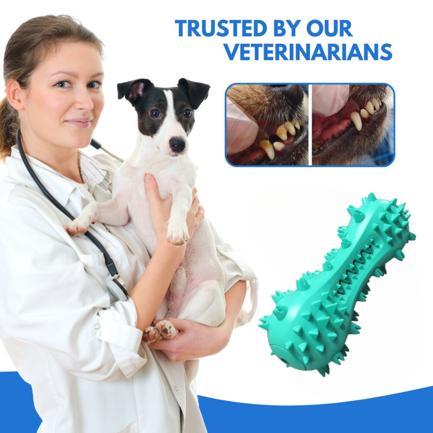 DentaChew® | Cleans Teeth, Freshens Breath, and Keeps Your Dog Happy.