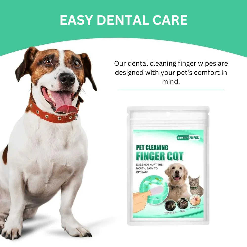 DentaWipe® | Gentle Care for Clean Teeth and Fresh Breath