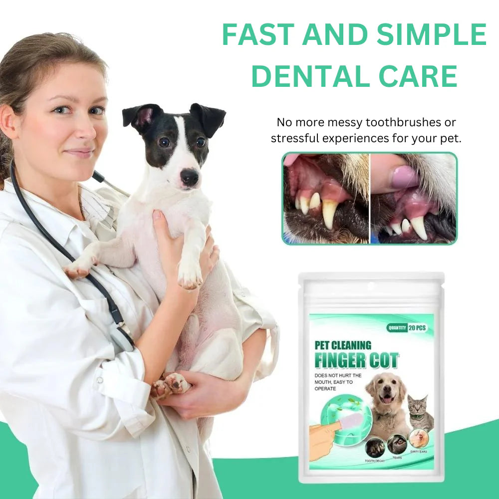 DentaWipe® | Gentle Care for Clean Teeth and Fresh Breath