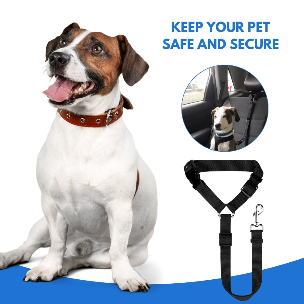 PetSafe® | Keeps Your Dog Safe, Secure, and Happy on Every Drive!