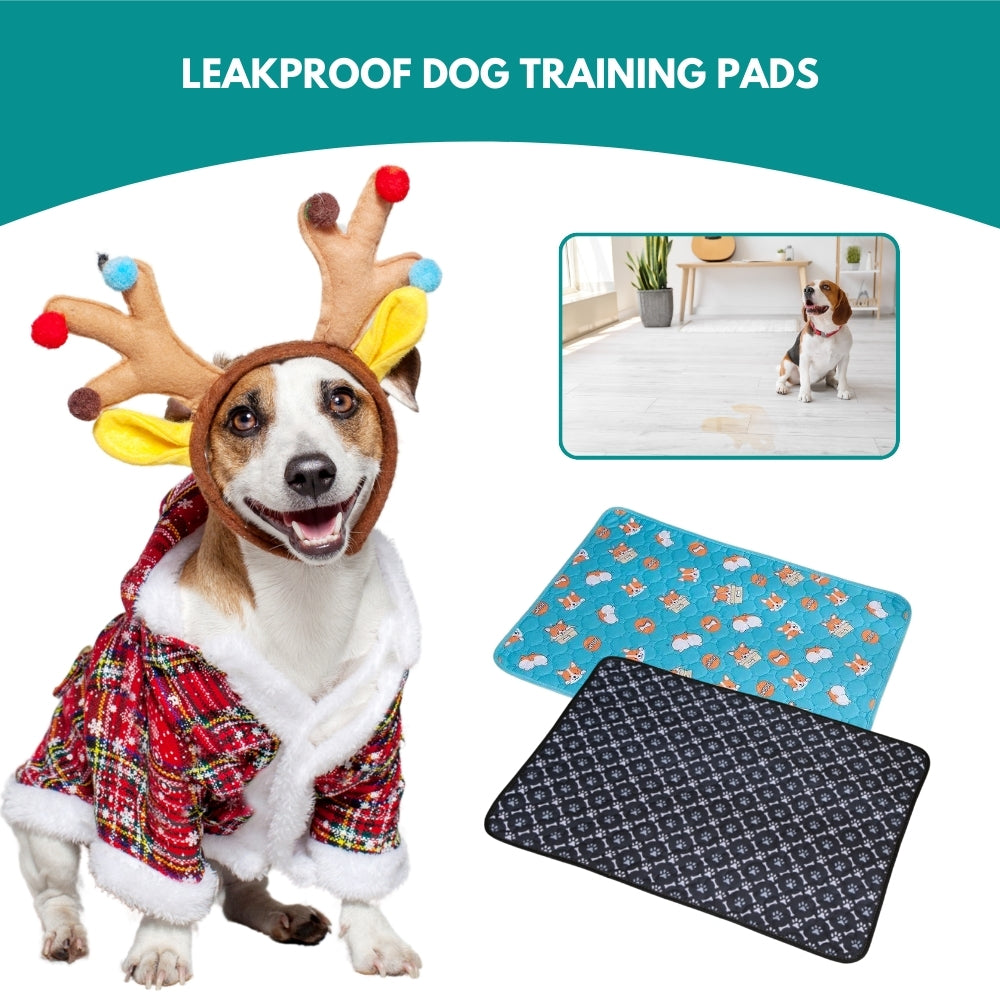 Wellovia FuryPads® | A Helpful Training Pad for Your New Holiday Puppy
