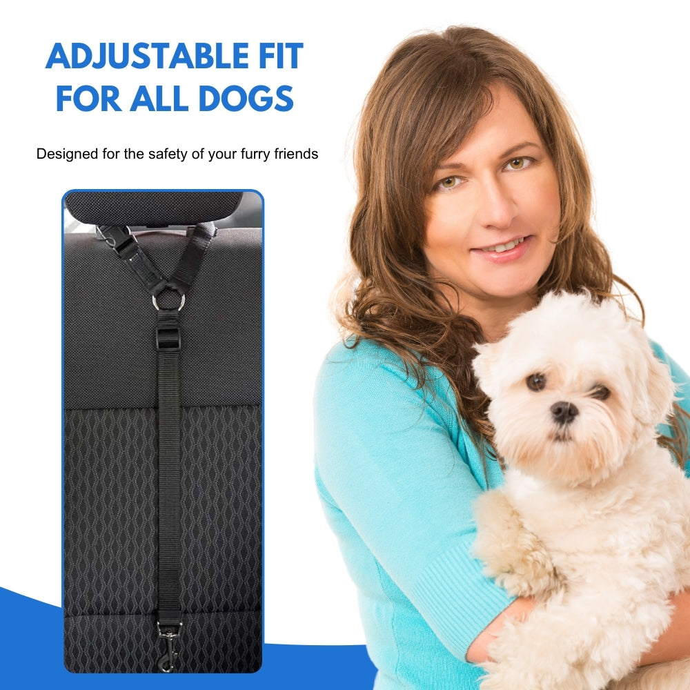 PetSafe® | Keeps Your Dog Safe, Secure, and Happy on Every Drive!