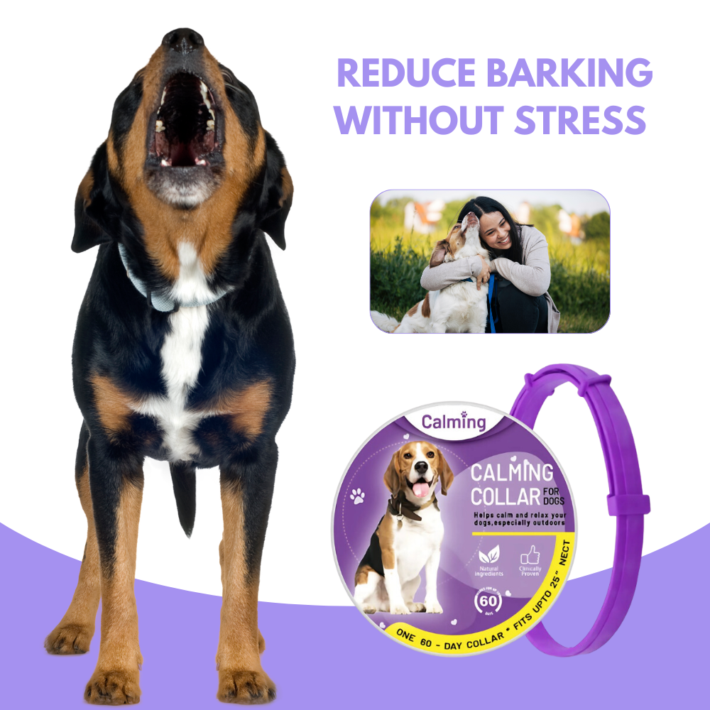 CollarZen® | The Natural Calming Solution for Your Furry Friend!