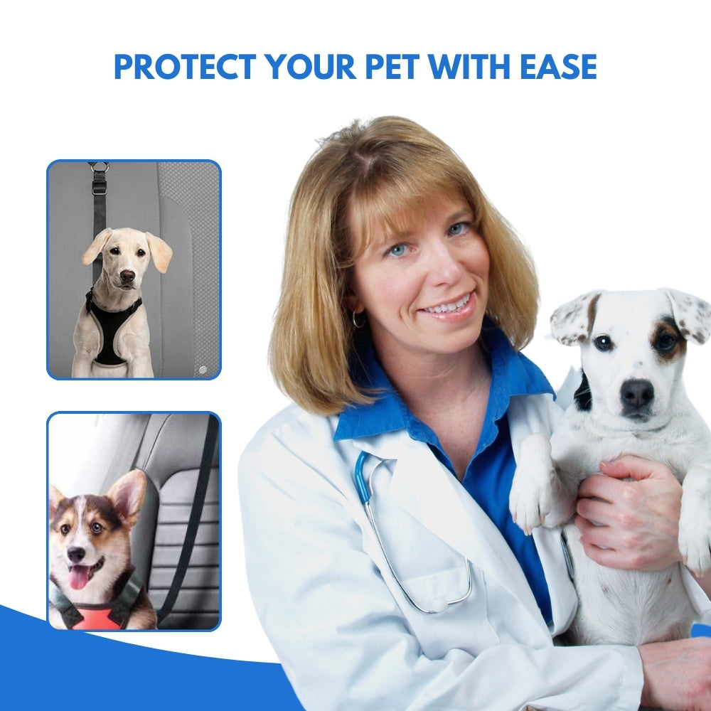 PetSafe® | Keeps Your Dog Safe, Secure, and Happy on Every Drive!