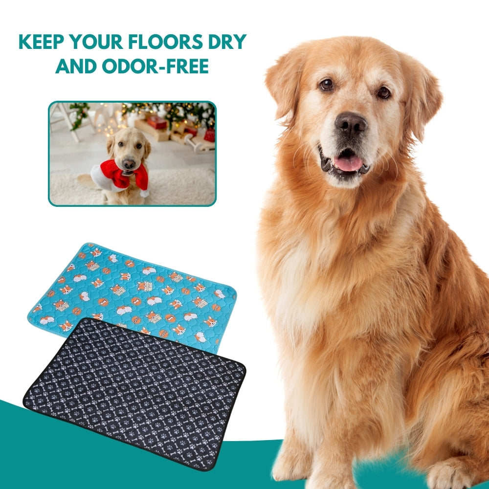 Wellovia FuryPads® | A Helpful Training Pad for Your New Holiday Puppy