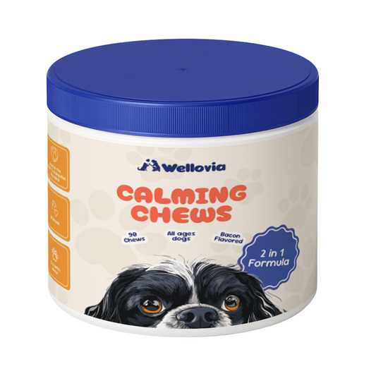 Calming Chews