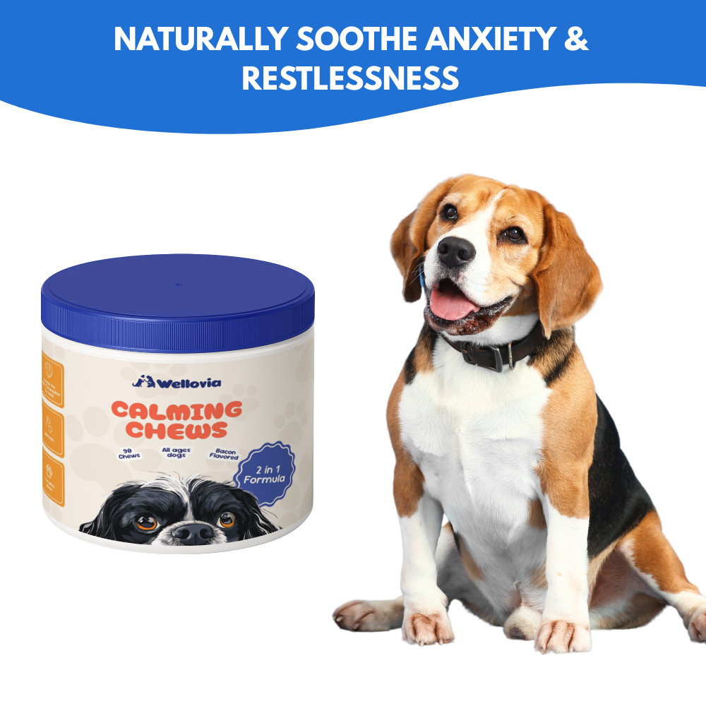 Calming Chews