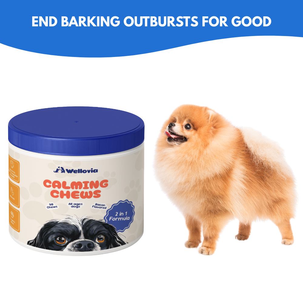 Calming Chews
