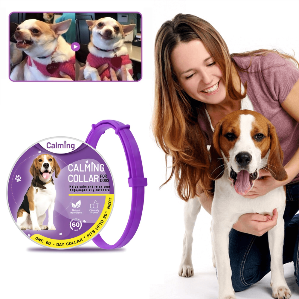 CollarZen® | The Natural Calming Solution for Your Furry Friend!