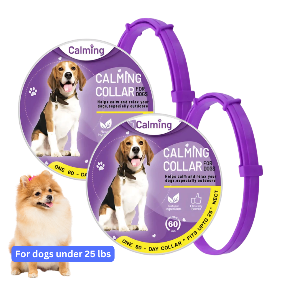 CollarZen® | The Natural Calming Solution for Your Furry Friend!