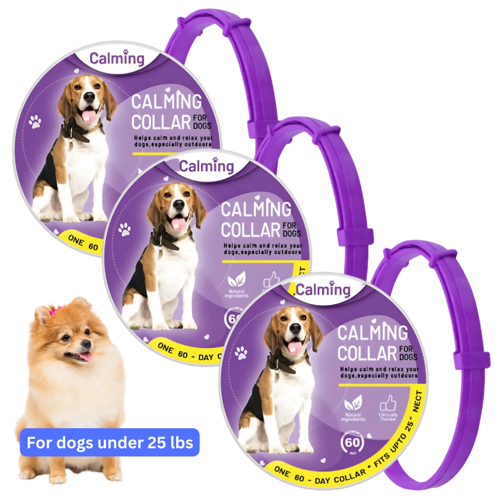 CollarZen® | The Natural Calming Solution for Your Furry Friend!