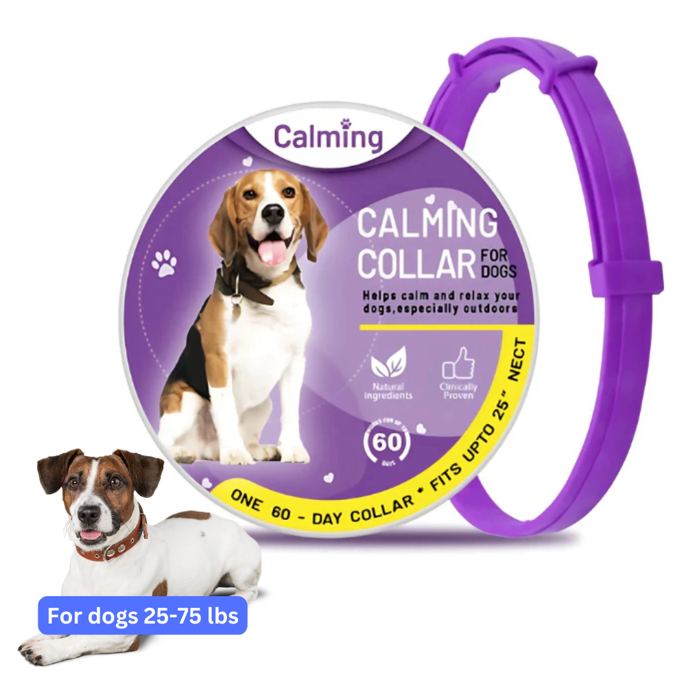 CollarZen® | The Natural Calming Solution for Your Furry Friend!