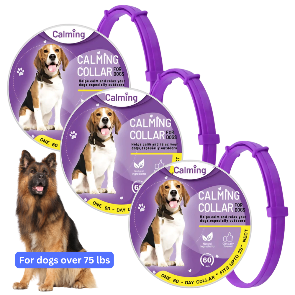 CollarZen® | The Natural Calming Solution for Your Furry Friend!