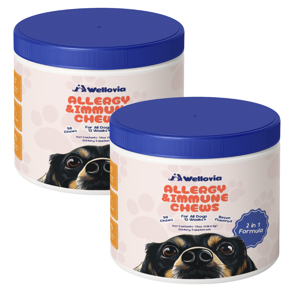 Allergy & Immune Chews | Soothe Itching and Strengthen your Dog’s Immune System from the Inside Out!