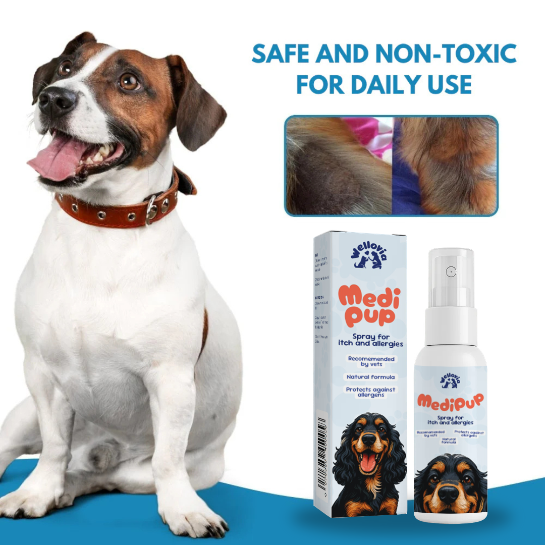 MediPup® | Transform Scratching Paws into Calm Comfort in just 14 Days