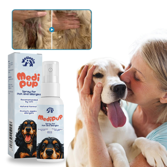 MediPup® | Transform Scratching Paws into Calm Comfort in just 14 Days