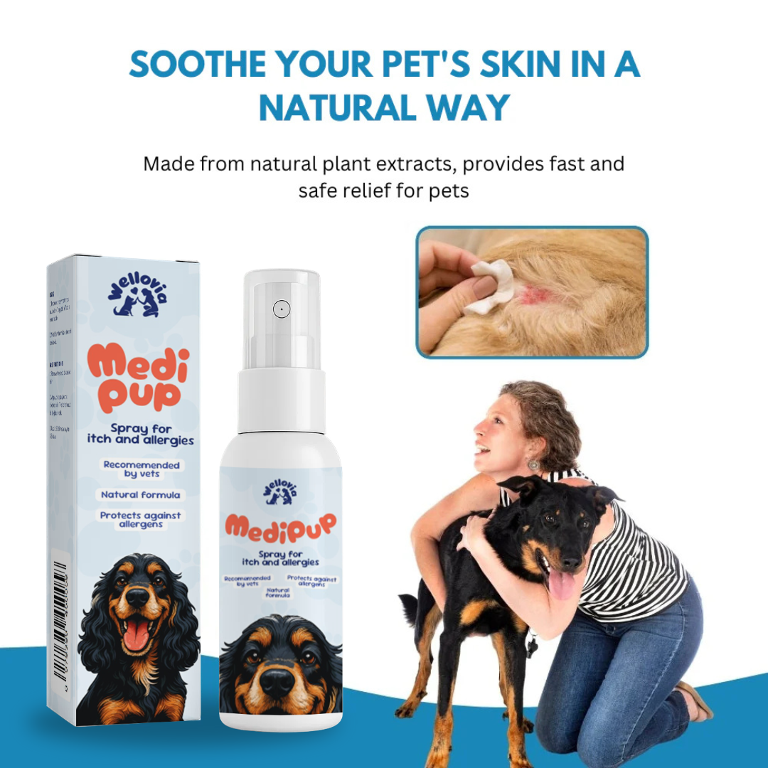 MediPup® | Transform Scratching Paws into Calm Comfort in just 14 Days