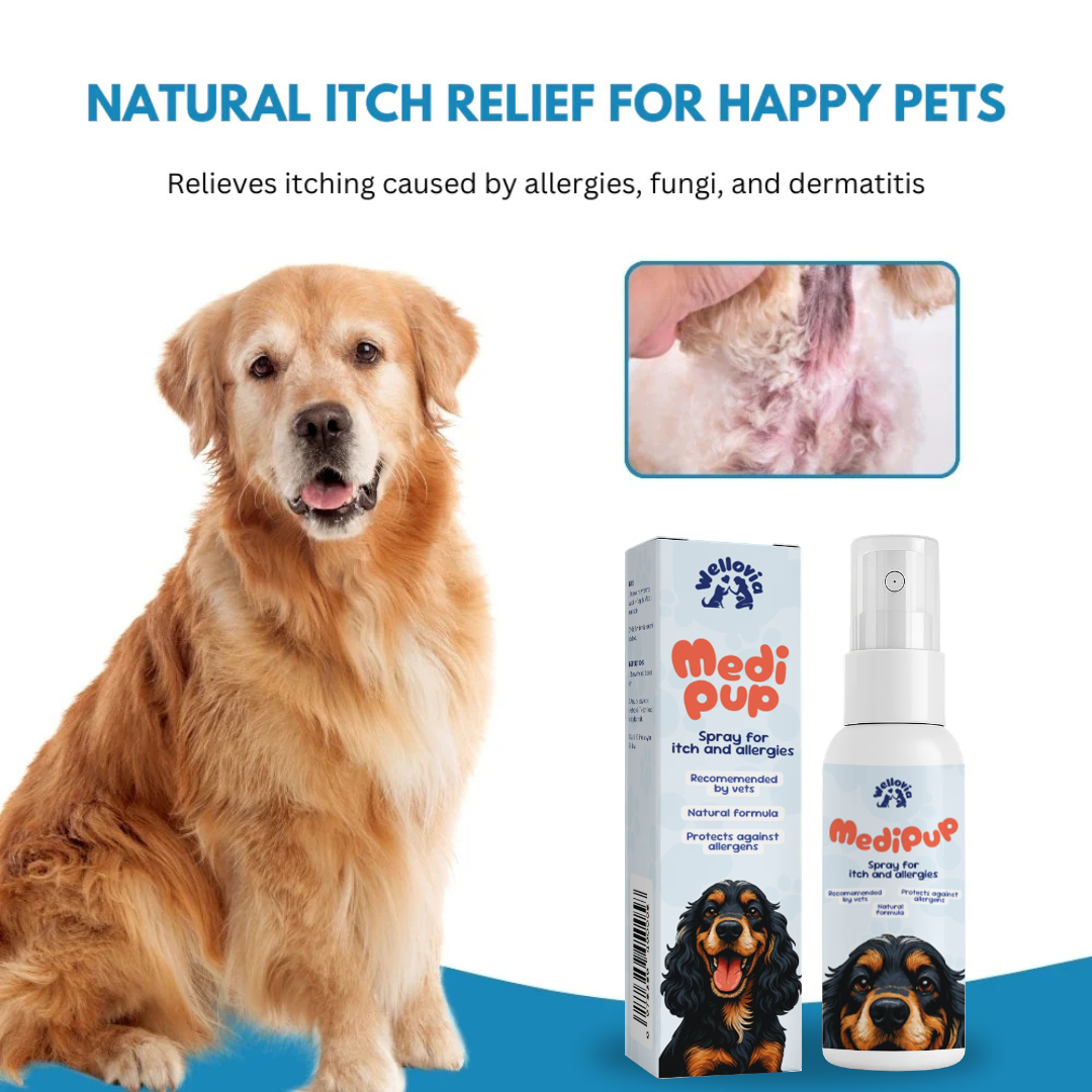 MediPup® | Transform Scratching Paws into Calm Comfort in just 14 Days