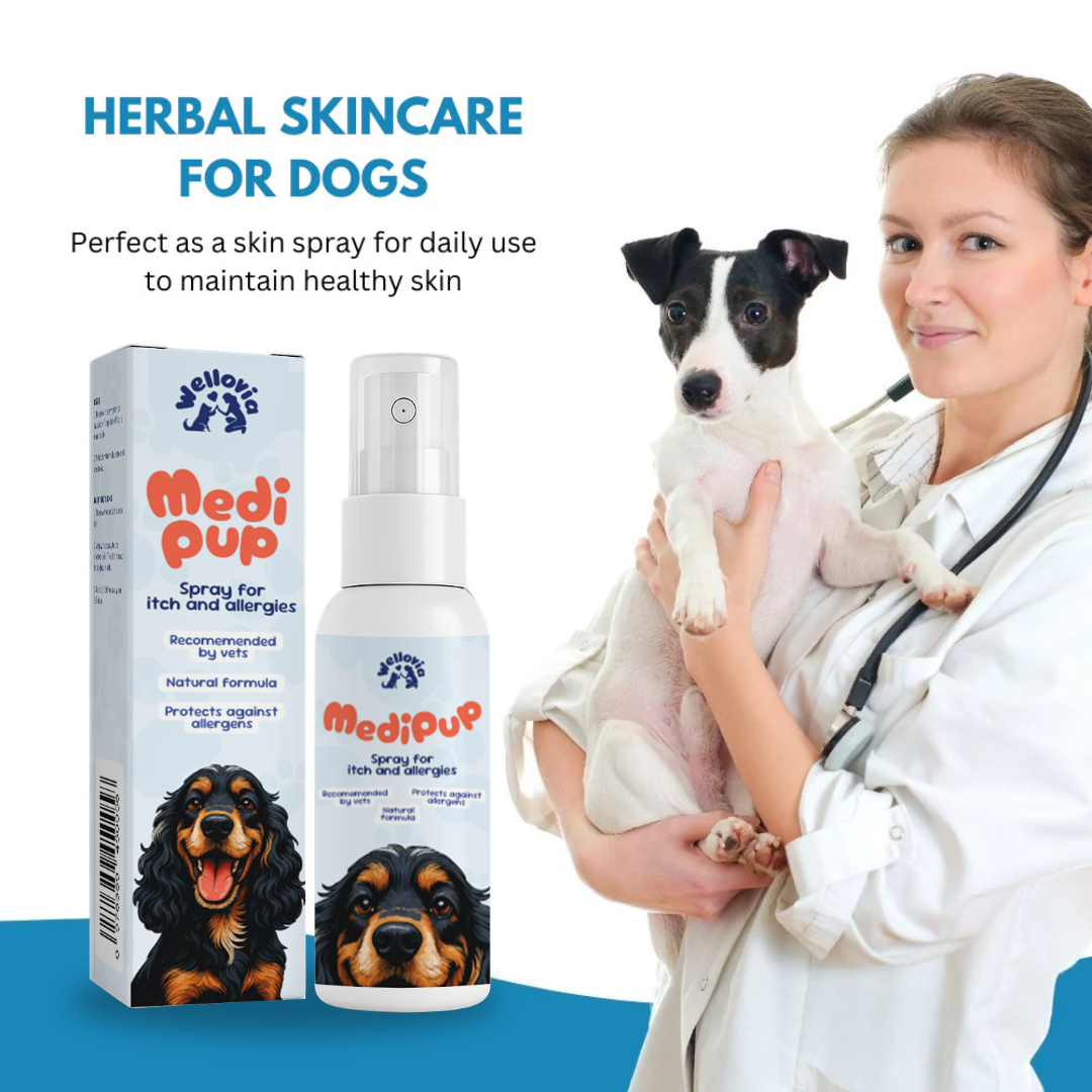 MediPup® | Transform Scratching Paws into Calm Comfort in just 14 Days